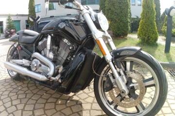 Harley Davidson Muscle